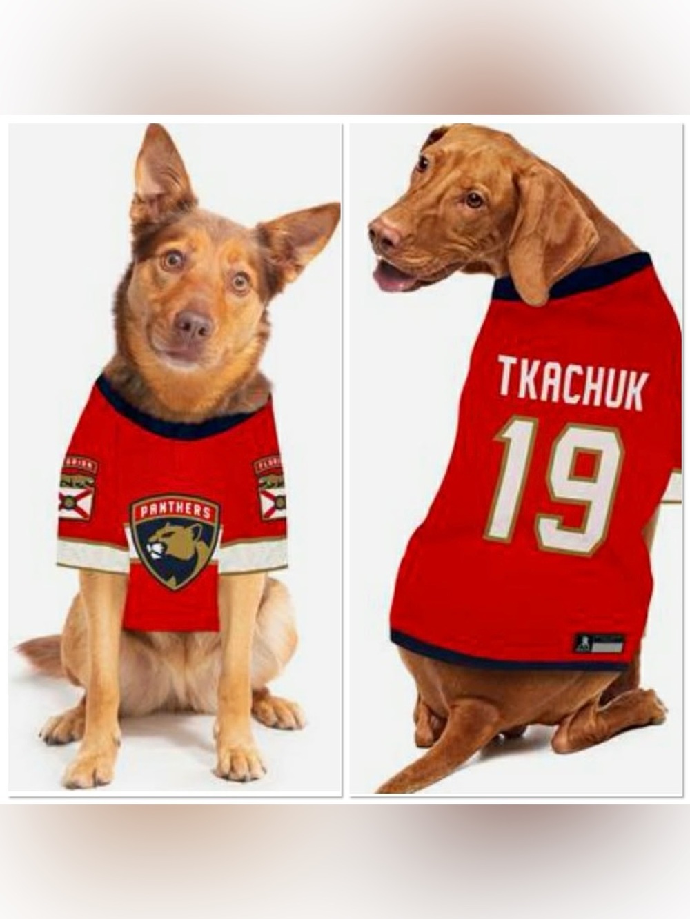 NHL Florida Panthers Dog Jersey with Number 19 Tkachuk size M NWT